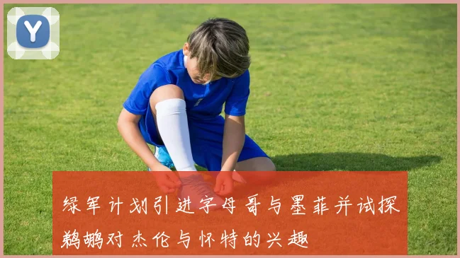 绿军计划引进字母哥与墨菲并试探鹈鹕对杰伦与怀特的兴趣