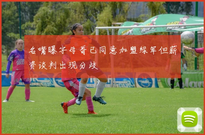 名嘴曝字母哥已同意加盟绿军但薪资谈判出现分歧