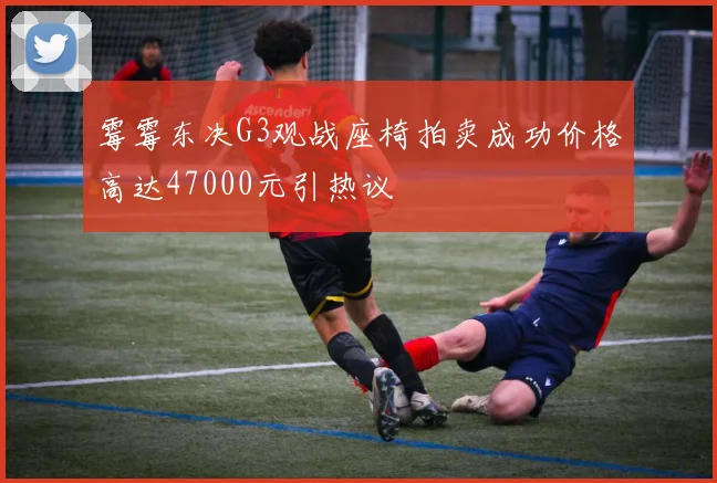 霉霉东决G3观战座椅拍卖成功价格高达47000元引热议