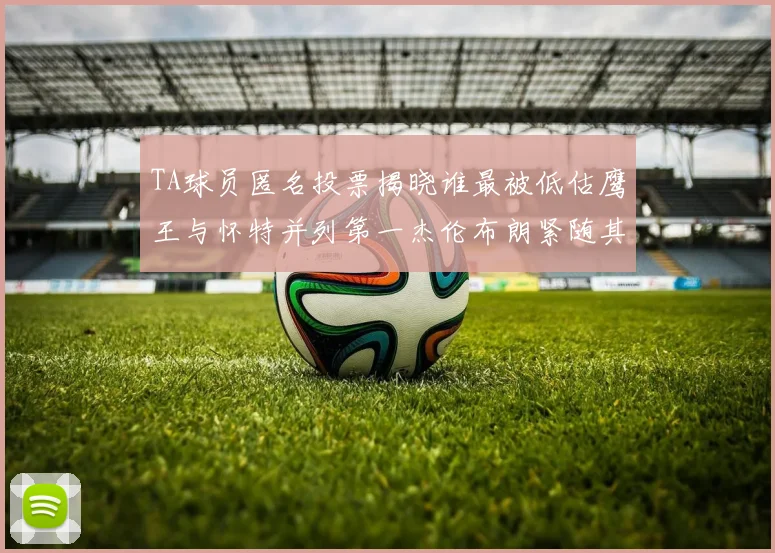 TA球员匿名投票揭晓谁最被低估鹰王与怀特并列第一杰伦布朗紧随其后